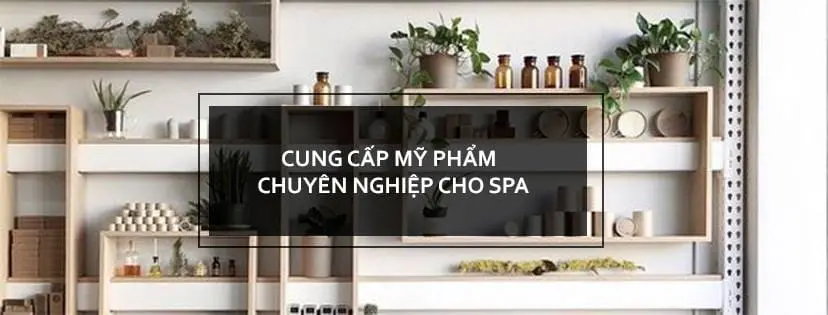 Trang chủ 17 Mỹ Phẩm Ngành Spa