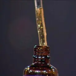 17191001 1154986464599198 7439074205061687475 n