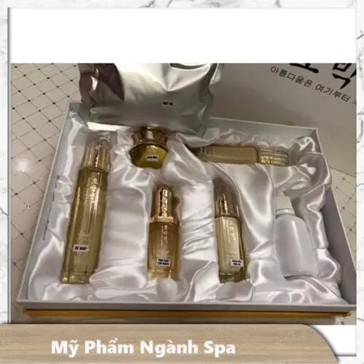 Bộ mầm tái sinh men sống