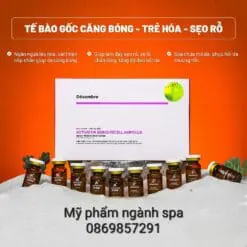 Alternative view of Tế bào gốc trẻ hóa tái tạo da Desembre A+