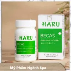 VIÊN UỐNG NỘI TIẾT TRỊ MỤN HARU