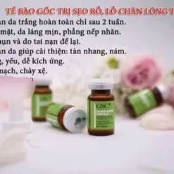 Tế bào gốc tri sẹo GSC- lẻ 1 lọ 5 176193165 514857749682863 5255947717246612987 n