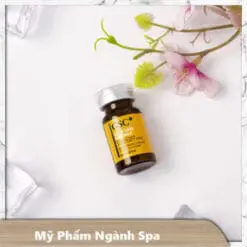 Tế bào gốc mụn GSC