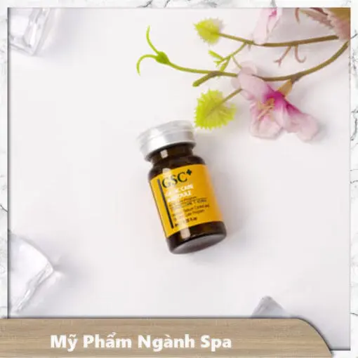 Tế bào gốc mụn GSC