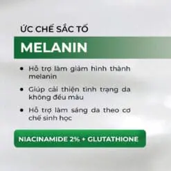 656014742 1247634490816041 7431425142125772607 n
