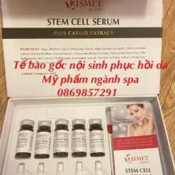 TẾ BÀO GỐC NỘI SINH KISMET 3 tbgkismet
