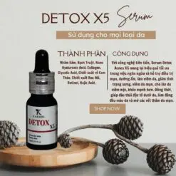 481771252 1177658837360930 7784156867540214191 n