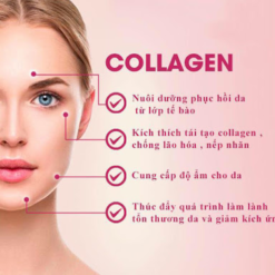 Serum Collagen