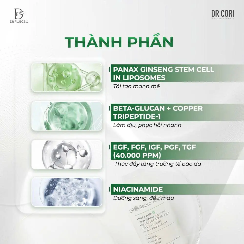 Ampoule phục hồi DR PLUSCELL LIPO REPAIR 30ML 3 Ampoule phục hồi DR PLUSCELL LIPO REPAIR 30ML - Ảnh 3