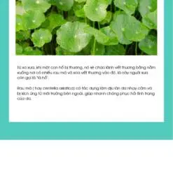 vitamin k cream 4 146bf3fd08e4414cb16ac3bcc5a32987