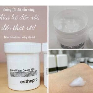 Kem dưỡng khoá ẩm Esthemax Aqua WATER CREAM 430 225G 9 kem esthemax 1
