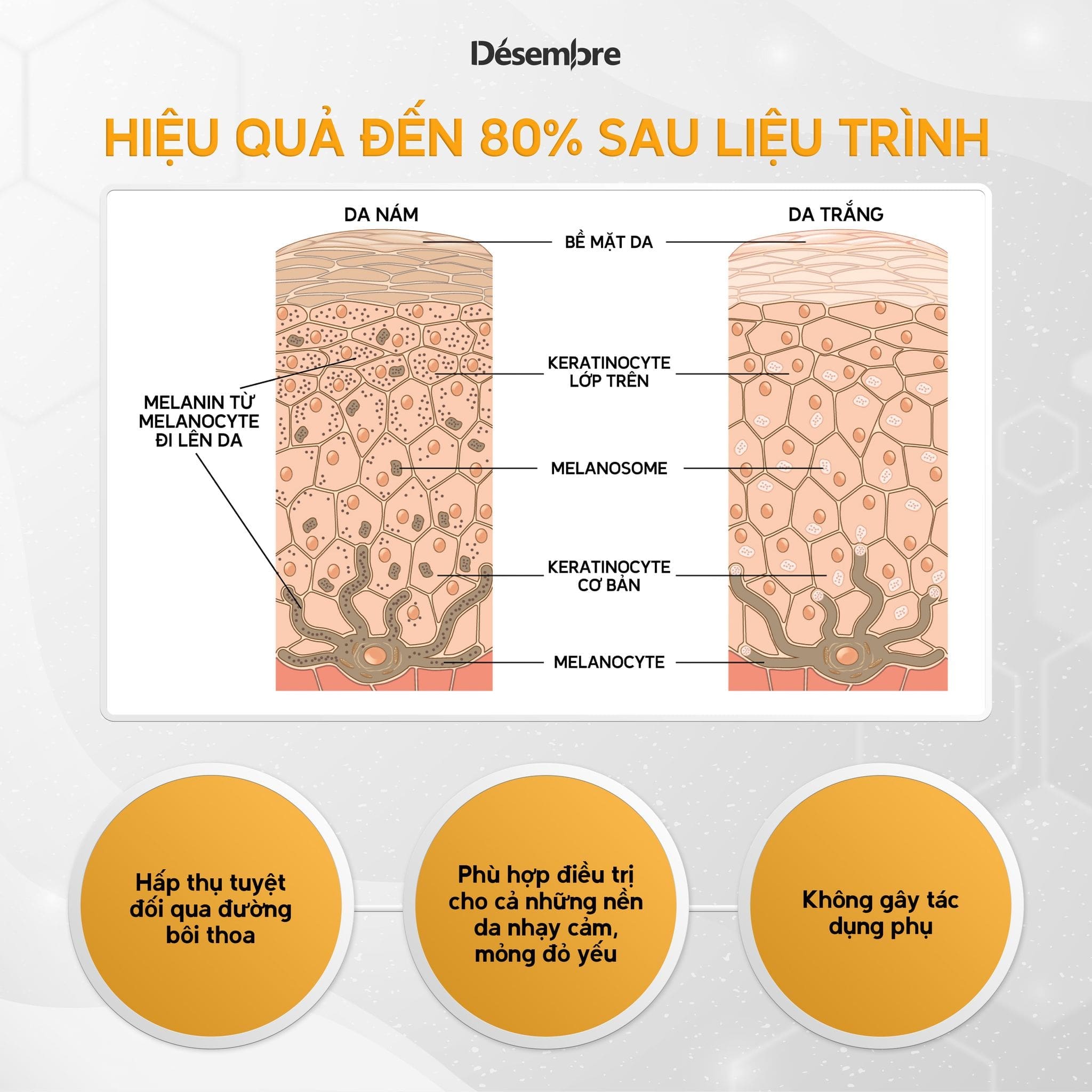 Tế bào gốc thâm nám trắng da Desembre W+ hộp 10 lọ 2 Tế bào gốc thâm nám trắng da Desembre W+ hộp 10 lọ - Ảnh 2