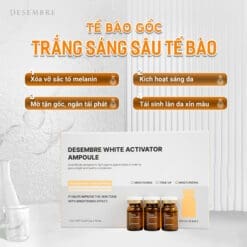 Tế bào gốc thâm nám trắng da Desembre W+ hộp 10 lọ 10 25 tbg trang sang sau te bao