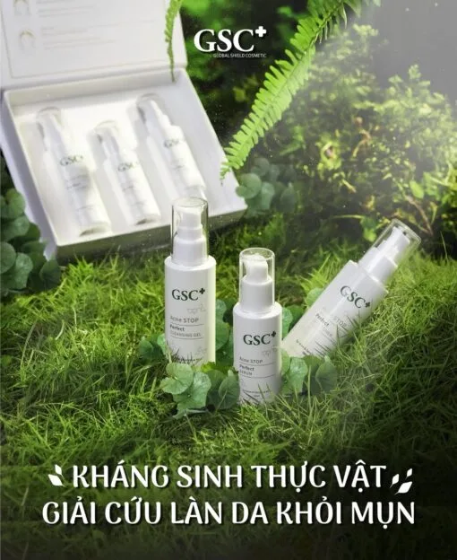 Bộ kháng sinh trị mụn GSC+