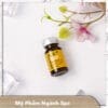 Tế bào gốc mụn GSC