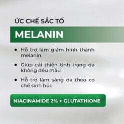 Kem dưỡng trắng da DR pluscell white cream 50g mẫu mới 7 656014742 1247634490816041 7431425142125772607 n