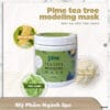 MẶT NẠ DẺO GIẢM MỤN KHÁNG VIÊM TRÀ XANH PIME TEA TREE MODELING MASK 250g 6 MẶT NẠ DẺO GIẢM MỤN KHÁNG VIÊM TRÀ XANH PIME