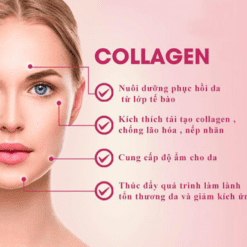 Serum Collagen