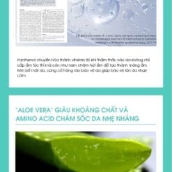 Ahohwa Kem Dưỡng Vitamin K 12g-80g 13 vitamin k cream 5 9d02c518d1574acab1dbde8e266e0ee8 1
