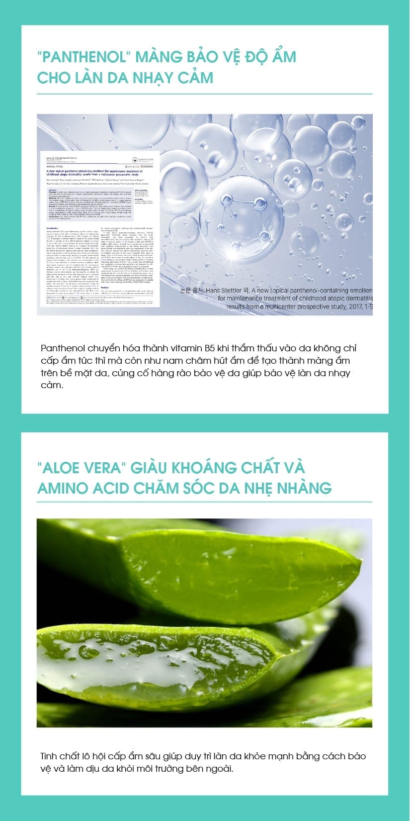 Ahohwa Kem Dưỡng Vitamin K 12g-80g 5 Ahohwa Kem Dưỡng Vitamin K 12g-80g - Ảnh 5